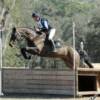 photo by Xpress Foto
www.xpressfoto.com